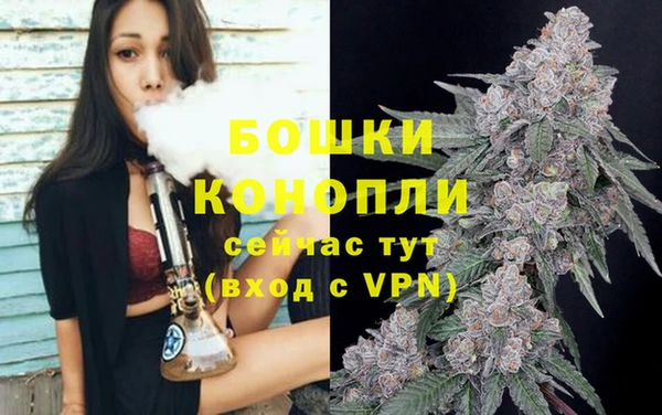 эйфоретик Белокуриха