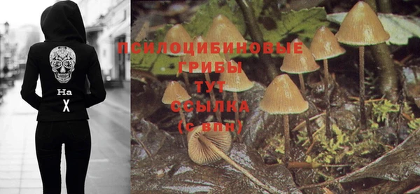 эйфоретик Белокуриха