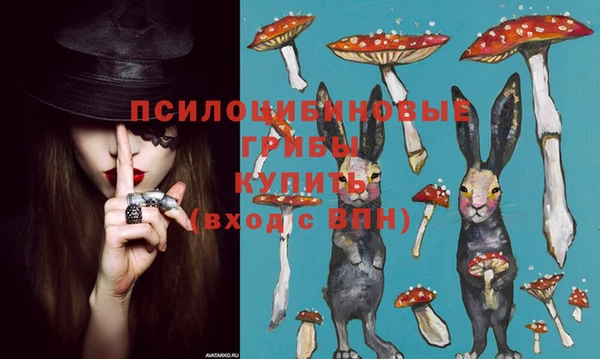 соль ск Белоозёрский