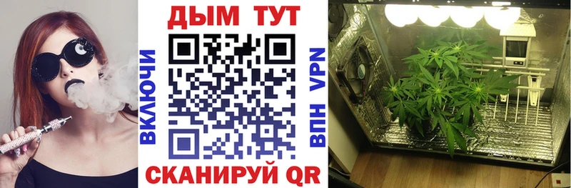 Купить где  Петров Вал  Конопля тримм 